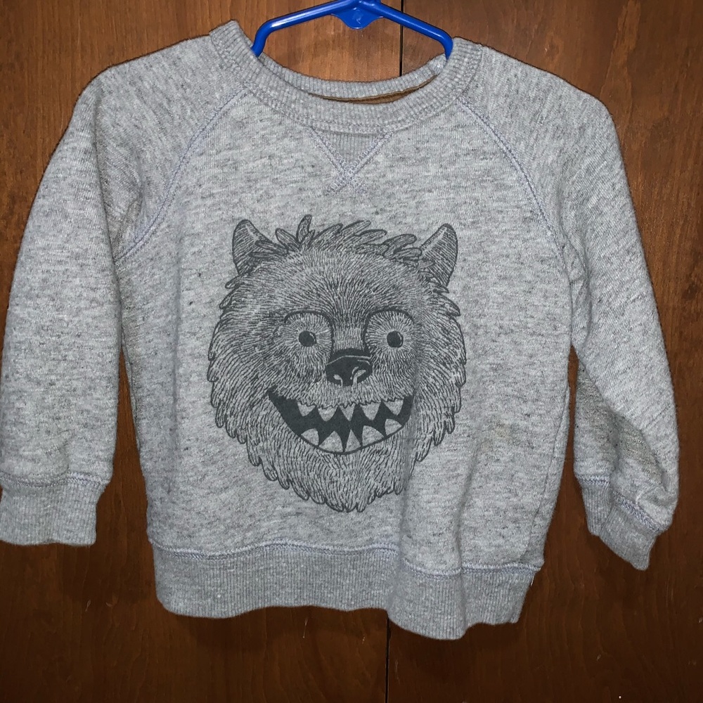 Toddler sweatshirt